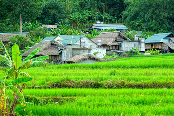 Ha Giang, Village of Tha, Lup, Me , Vietnam