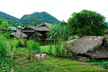  Ha Giang, Village of Tha, Lup, Me, Vietnam