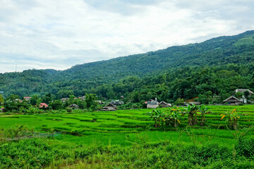 Fototapeta na wymiar Ha Giang, Village of Tha, Lup, Me, Vietnam