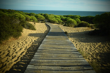 Footbridge,,Footpath,Sky,Forest,Boardwalk,Sand,Wood - Material,Landscape - Scenery,Beach,Sea,Nature,Tree,,Sky,Forest,Sand,,Island,Coastline,Desert Area,No People,Travel Destinations,Pine Tree,Scenics 