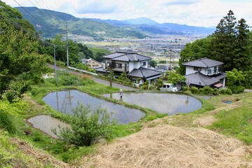 Naklejka premium Obasute Rice Fields, Nagano, Japan