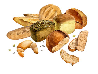 Illustration. Freshly baked bread painted in watercolor. Bagels, baguettes, loaf, black bread. For menu design, stickers, websites, etc.