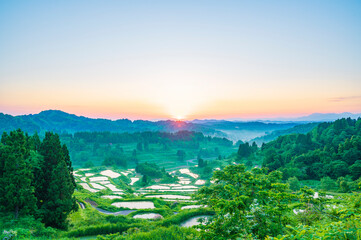 新潟　星峠の棚田