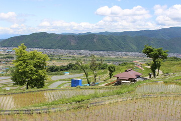Obasute Rice Fields, Nagano, Japan