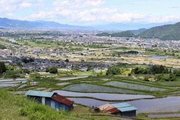 Obasute Rice Fields, Nagano, Japan