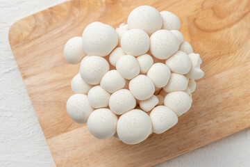 新鮮な白しめじ、ブナピー