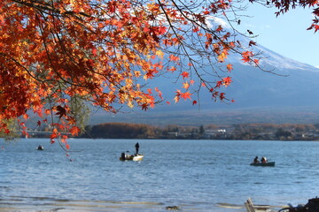 Mount Fuji in Autumn