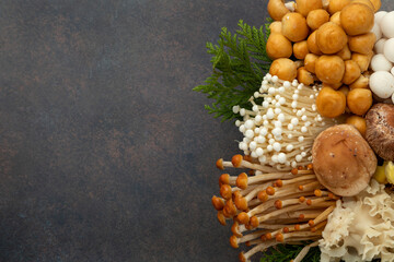 たくさんの種類のきのこ