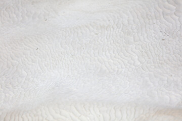 White volcanic limestone rock as background.