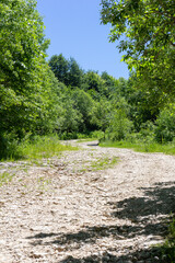 summer, dirt road, nature, woodland, sky, panorama of the area,sunny day.