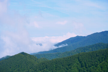山から見た雲海と立ち上る白いもや