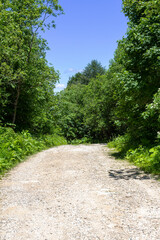 Obraz premium summer, dirt road, nature, woodland, sky, panorama of the area,sunny day.