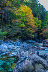 mountain river in autumn
