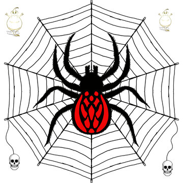 Ragnatela con ragno per la festa di Halloween
