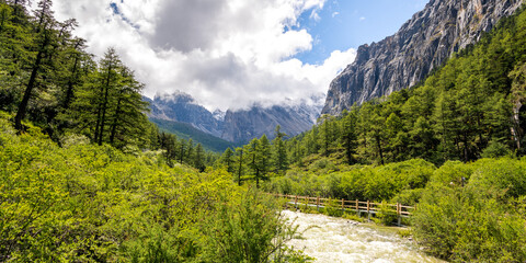 Fototapeta na wymiar Panorama of the mountain river, walkway in Yading Nature Reserve in Daocheng County, China. Blue sky with copy space for text