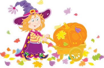 Happy little Halloween witch carrying a large orange pumpkin in her garden wooden wheelbarrow through colorful autumn leaves, vector cartoon illustration isolated on white