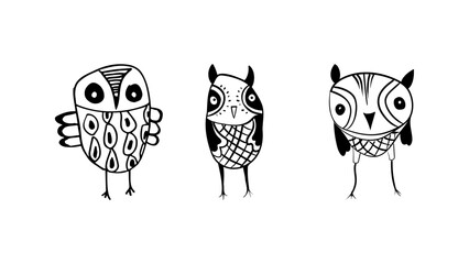 Vector graphic of Hand drawn owl set isolated on white background. Owl sketch black and white hand drawn image.