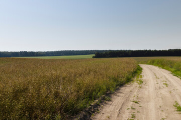 Gravel highway in rural areas