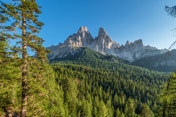 Mount Cristallo and the forest in the Dolomite Alps