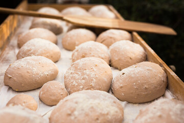 yeast dough in the form of loaves waiting to be cooked