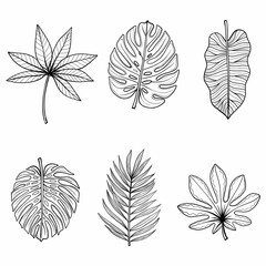 set tropical leaves doodles