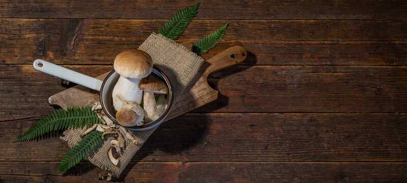 Dark food photography background - Fresh and dried forest mushrooms / Boletus edulis (king bolete) / penny bun / cep / porcini / mushroom and fern on old wooden cutting board on table, top view