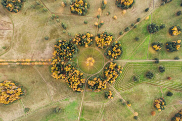 State museum Pavlovsk in autumn. Composition Circle of white birches. Aerial view.