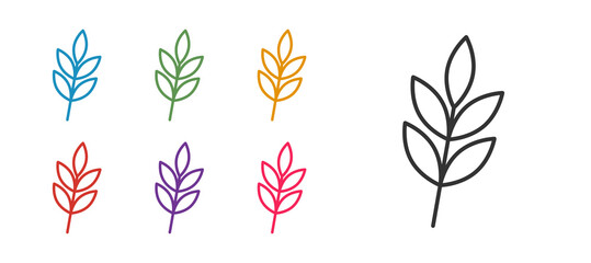 Set line Leaf icon isolated on white background. Leaves sign. Fresh natural product symbol. Set icons colorful. Vector