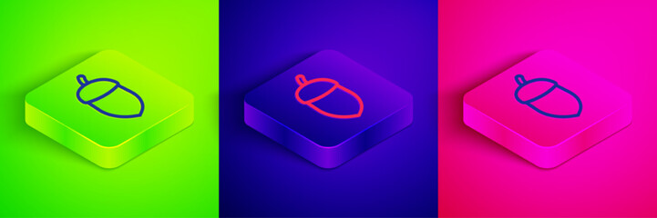 Isometric line Acorn icon isolated on green, blue and pink background. Square button. Vector