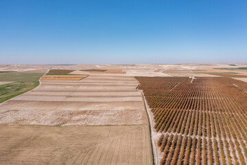 Aerial view of a farming area