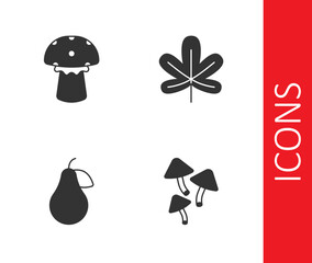 Set Mushroom, Pear and Chestnut leaf icon. Vector