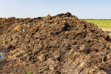 Manure for fertilizing the soil in the field