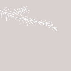 white lush spruce branch. Fir branches. Isolated on white vector illustration