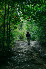 Naklejka na ściany i meble A woman walking alone through the forest.