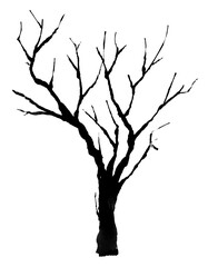 silhouette illustration of a dead tree	