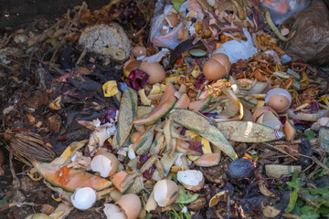 collecte des déchets alimentaires dans un composteur