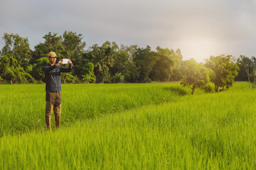 Asia male Farmer analyzing rice field While Using Digital Tablet in smart Farm,  
agriculture technology concept