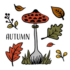 Autumn illustration with falling leaves, berries and mushroom, fall floral elements and inscription Autumn. Background for fall season. Vector illustration isolated on white. Thanksgiving invitation