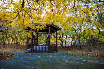 Wooden pavilions in autumn