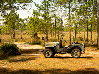 Side view of a old offroad car (jeep) in the middle of the forest in the sunset light.