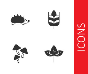 Set Leaf, Hedgehog, Mushroom and Wheat icon. Vector