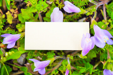 紫鷺苔の花を背景にしたタイトルフレームのモックアップ
