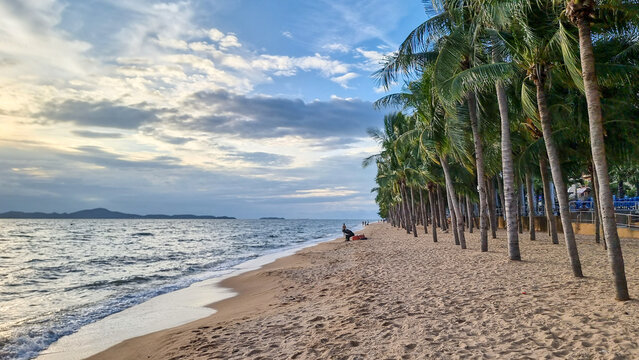 Dongtan Beach Pattaya Jomtien Thailand, palm trees on the beach during sunset. 