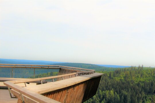 Ellbachseeblick