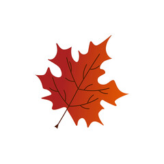 Maple autumn leaf. Vector illustration. For the design of prints, cards, flyers, clothing, packaging, brochures and covers.