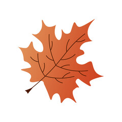 Obraz premium Maple autumn leaf. Vector illustration. For the design of prints, cards, flyers, clothing, packaging, brochures and covers.