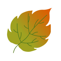 Colored autumn birch leaf. Vector illustration. For the design of prints, cards, flyers, clothing, packaging, brochures and covers.