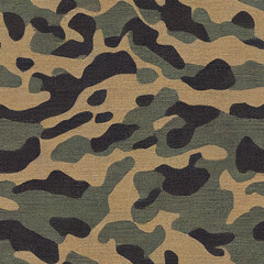 Seamless texture of camouflage pattern