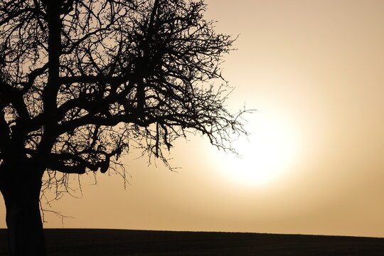 Sonnenuntergang mit Saharastaub