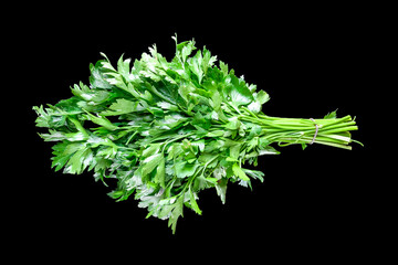 Bunch of parsley stem isolated on black